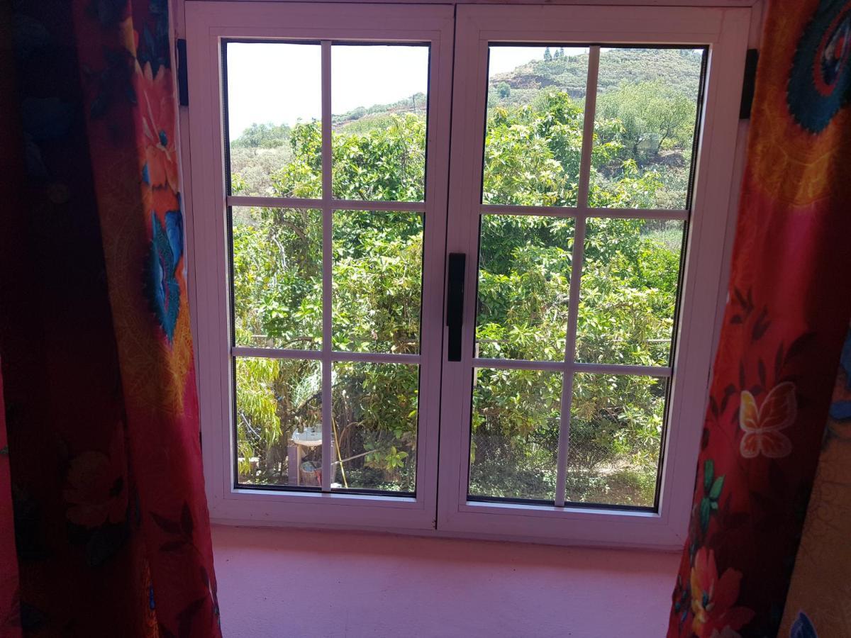 Finca Rural Torres Casas 1 Y 4 Bed & Breakfast Vega de San Mateo Exterior foto