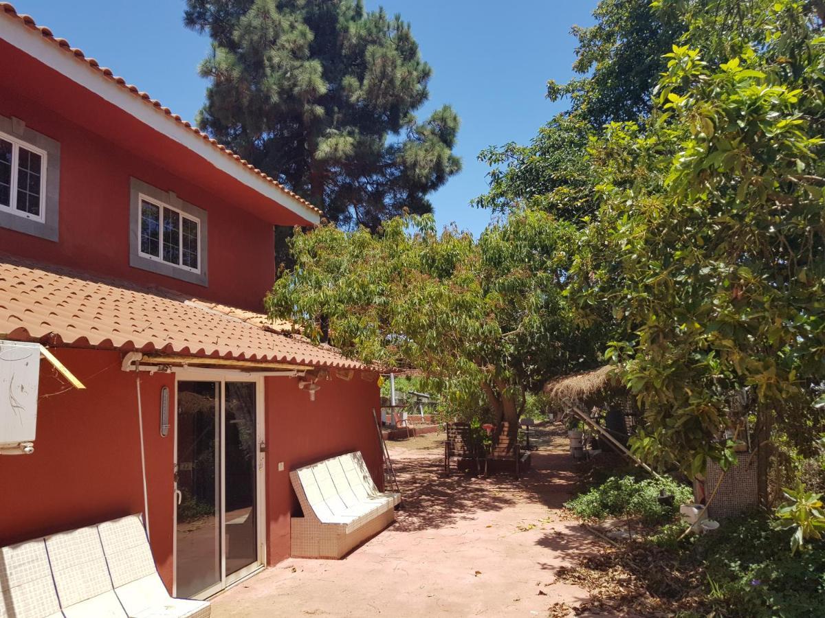 Finca Rural Torres Casas 1 Y 4 Bed & Breakfast Vega de San Mateo Exterior foto