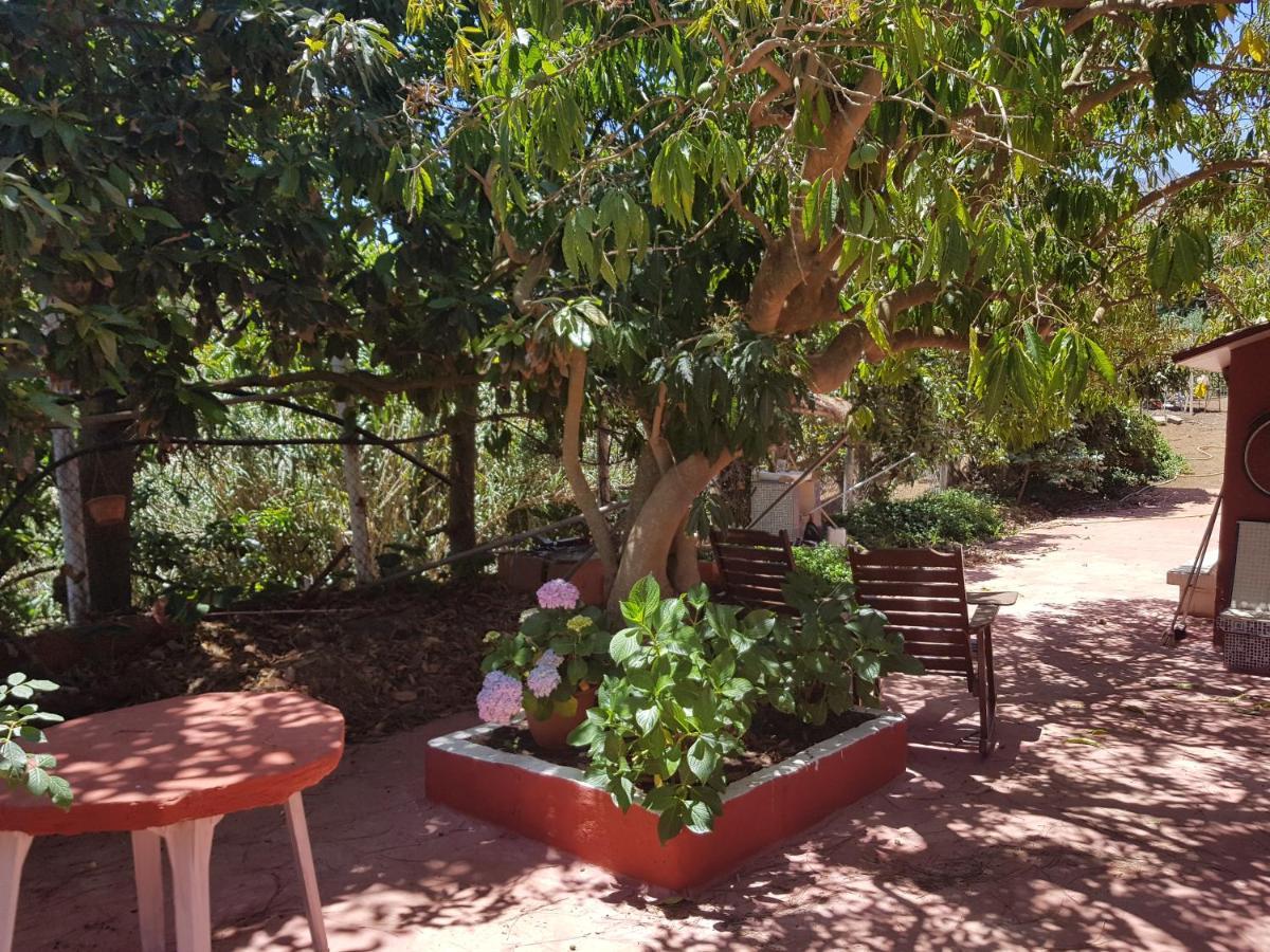 Finca Rural Torres Casas 1 Y 4 Bed & Breakfast Vega de San Mateo Quarto foto