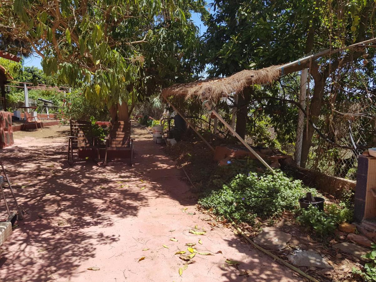 Finca Rural Torres Casas 1 Y 4 Bed & Breakfast Vega de San Mateo Quarto foto